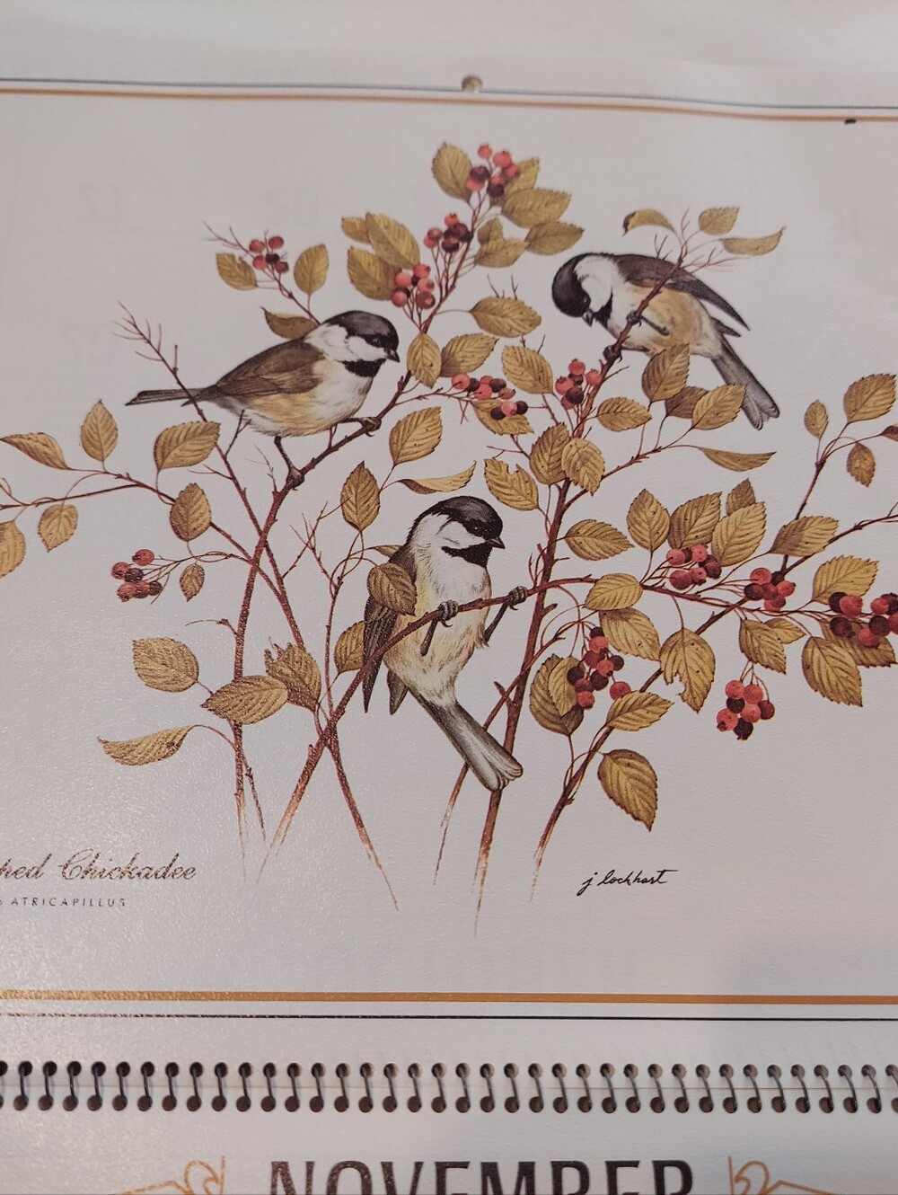 Vntg 1986 Wildlife Collection Callender, James Lockhart-Artist & Conservationist - Picture 9 of 16